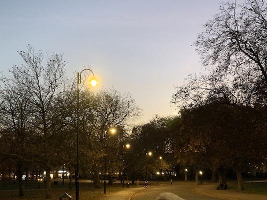 Lit street lamps next to a road in Finsbury Park.