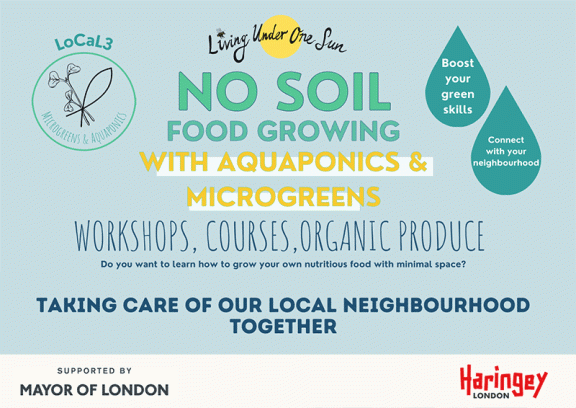 Microgreen and Aquaponics Course. Every Saturday from 2 March to 11 May 2024, 10am to 1pm. Sign up now: hanna@livingunderonesun.co.uk
