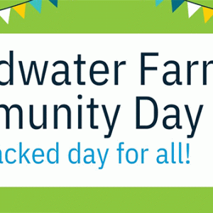 Broadwater Farm Community Day – a fun-packed day for all!